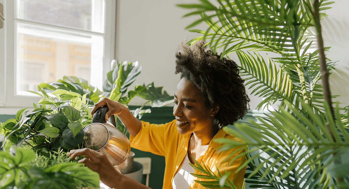 Should You Use Hard or Soft Water on Plants?